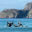 Surfing in Hoddevik